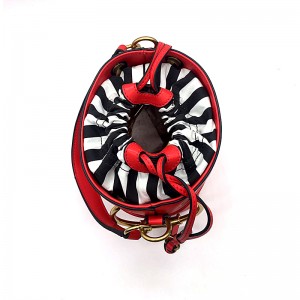 Lady Fashion wasserdicht Eimer Designer Umhängetasche 2019 beliebtesten Frauen Tasche