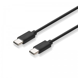 Typ C zu Typ C Datenkabel