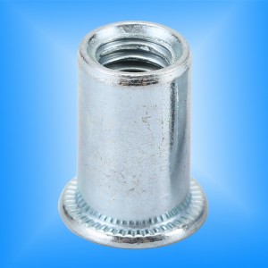 Flacher Kopf runder Körper