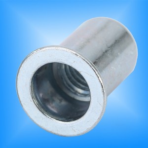 Flacher Kopf runder Körper