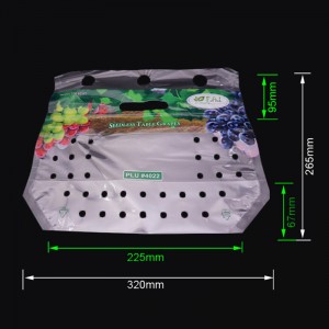 Ökologisch bedruckter Kunststoffbeutel mit Reißverschluss für Traubenfrüchte mit Belüftungsöffnungen