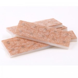 Sterile Akupunktur-Pressnadeln