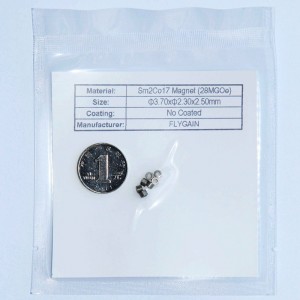 Micro Precision SMCO kleiner Magnet