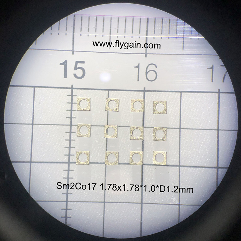 China Hersteller Micro Precision Small Magnet für Motor