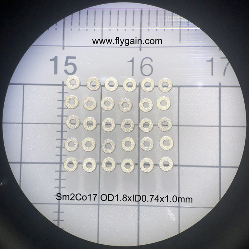 China Hersteller Micro Precision Small Magnet für Motor