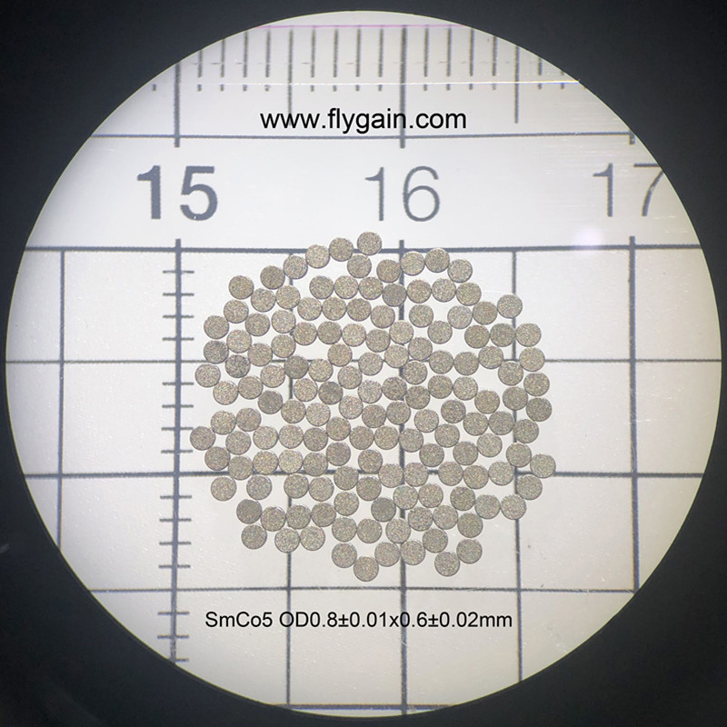 Micro Precision SmCo Ringmagnet für mobilen Motor