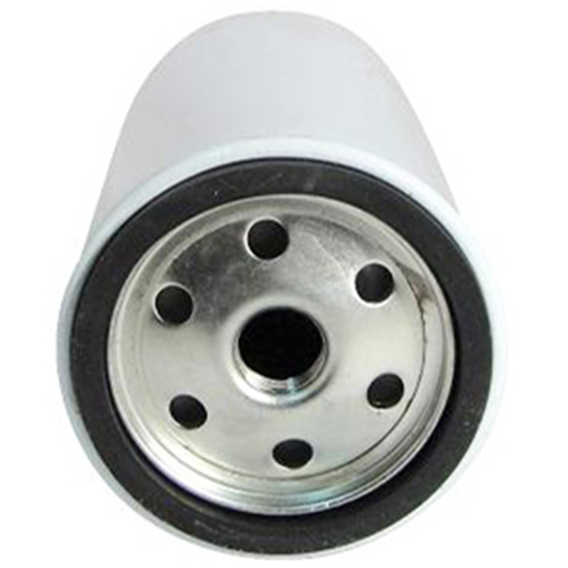 fuel filter (FS0054)