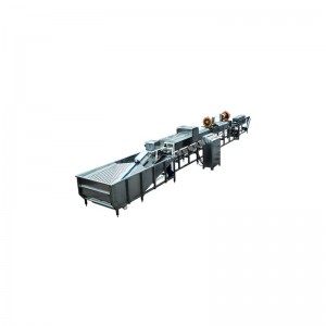 WX150 Ente Eiwaschmaschine