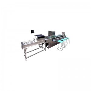 WL180 Egg Crack detection and Grading machine