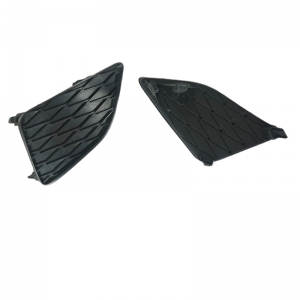 Auto Lampe Panel Schimmel