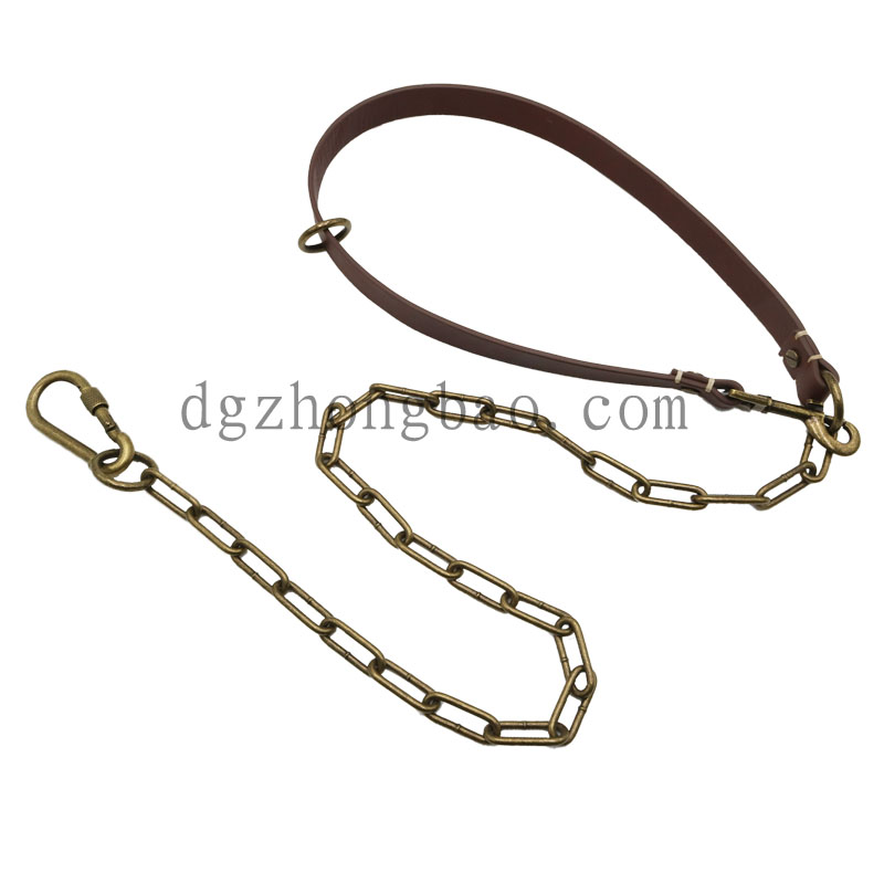 Hardware-Kette mit Leder-Haustierleine