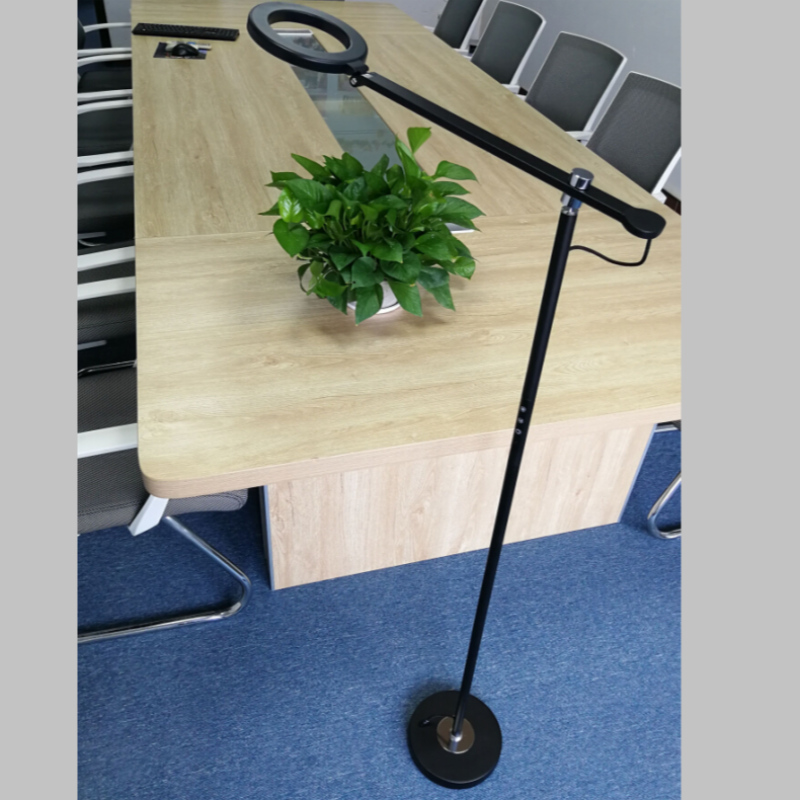 6886 Living Room Metal Standing Lighting Standard Lamp LED Floor Lamp For Home,Hotel