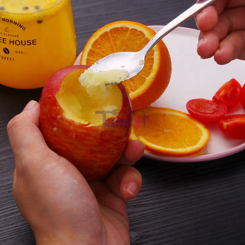 Grapefruitlöffel aus Edelstahl mit Fruchtqualität und gezahnter Kante