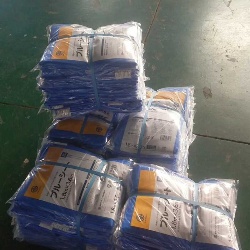 Hdpe Tarpaulin Roll Customize PE 90g Kunststoff-Blatt mit allen Spezifikationen im Lager