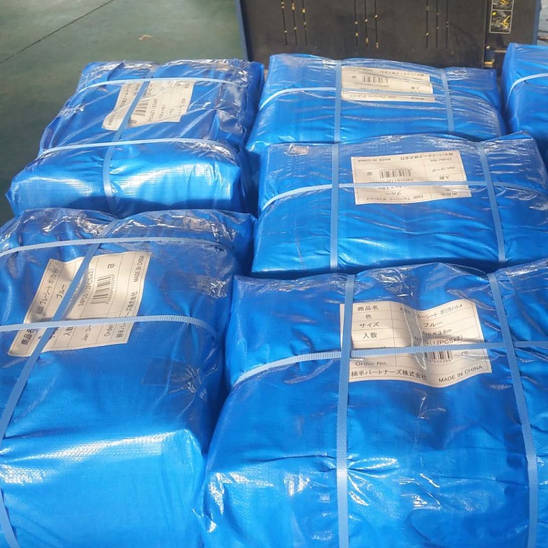 Hdpe Tarpaulin Roll Customize PE 90g Kunststoff-Blatt mit allen Spezifikationen im Lager