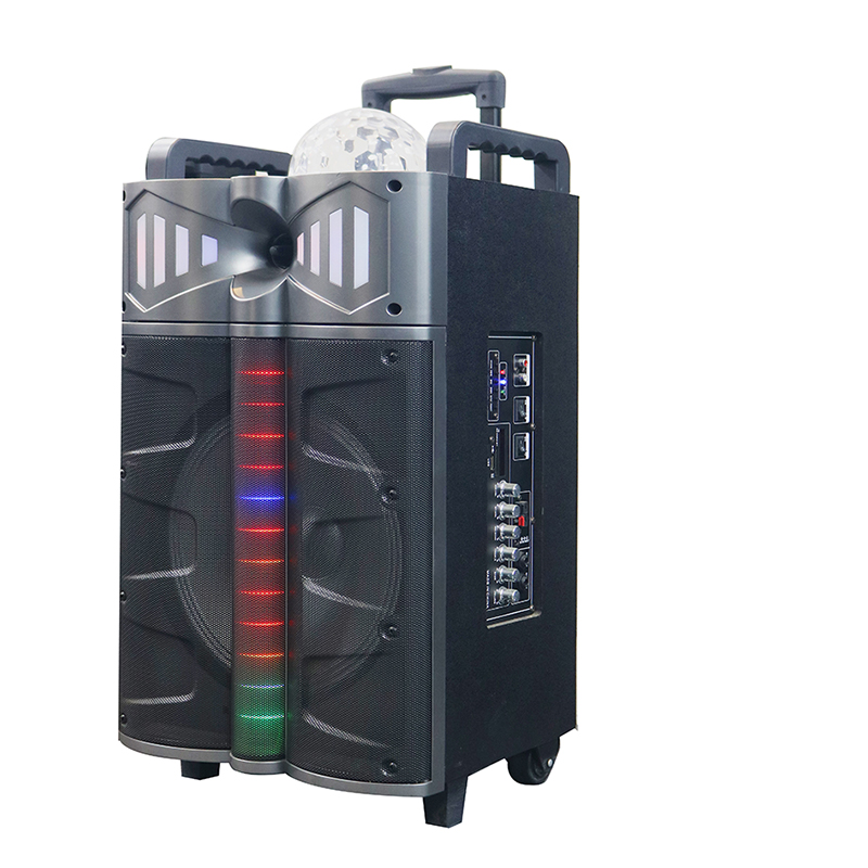 Trollry-Lautsprecher Y-DJ1201-12H