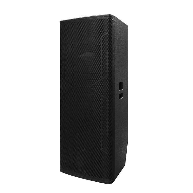 Großer DJ-Lautsprecher Y-450DH