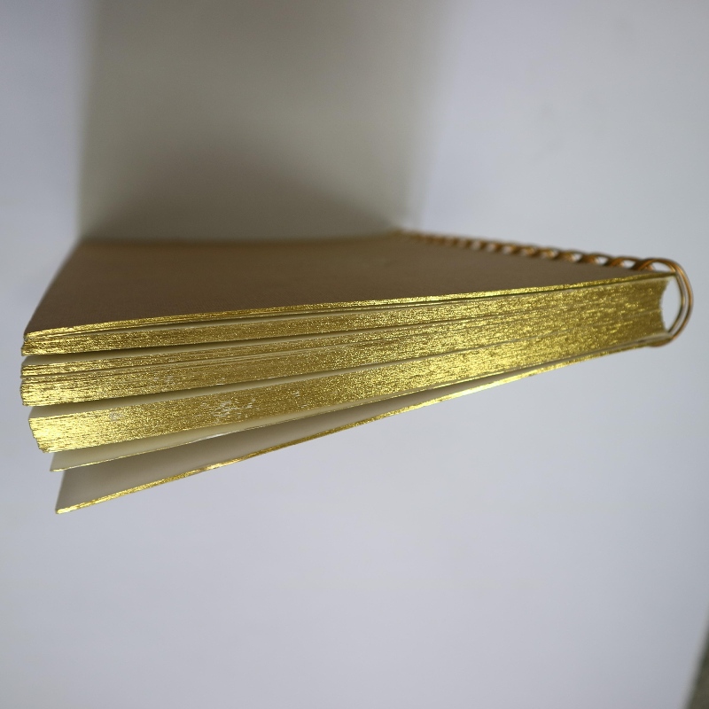 Goldstempelspulenbindung Notebook Retro-Stil