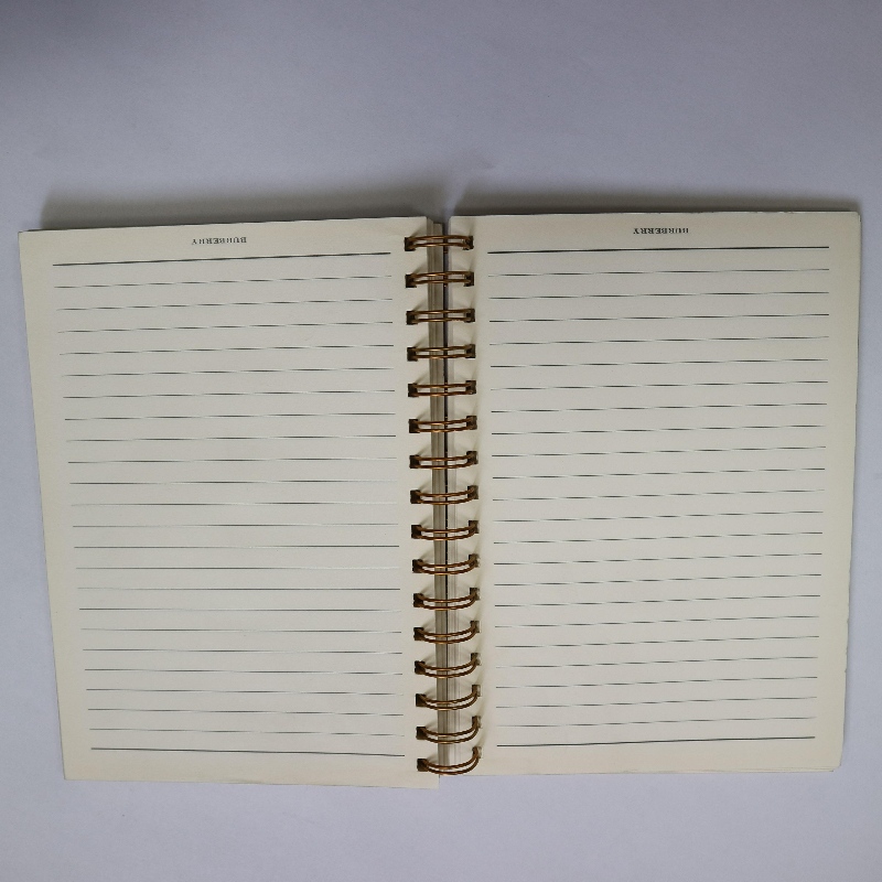 Goldstempelspulenbindung Notebook Retro-Stil