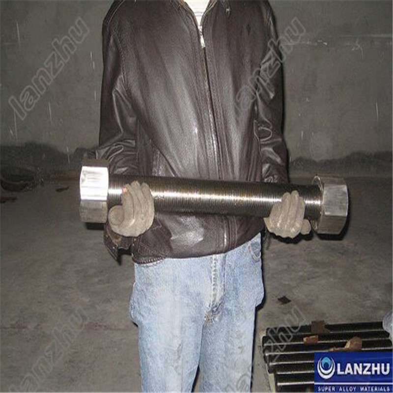 Inconel®718 Hochtemperatur- und Hochfestigkeit Bolzen und Mutter (W.Nr.2.4668 Bolzen)