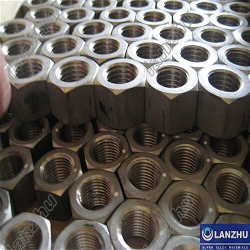 Inconel®718 Hochtemperatur- und Hochfestigkeit Bolzen und Mutter (W.Nr.2.4668 Bolzen)
