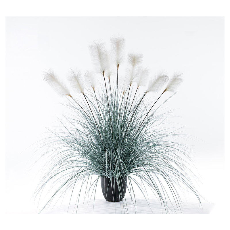 OH109200017/OH109200018