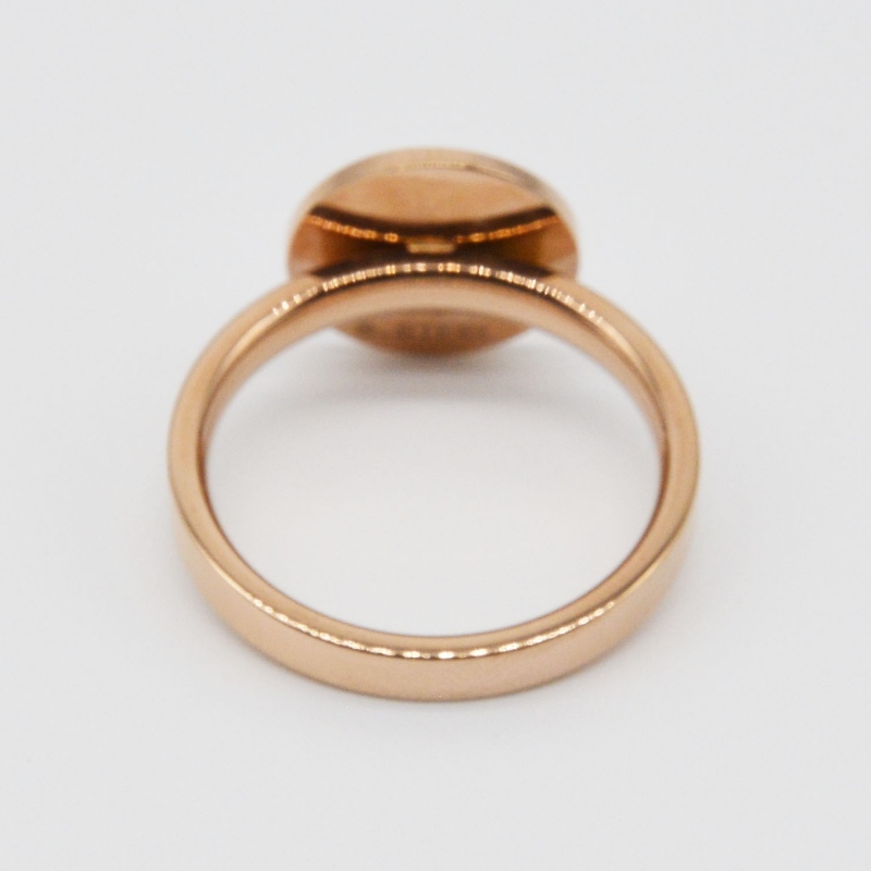 Ring aus nichtrostendem Stahlkautschuk rfbrg1077