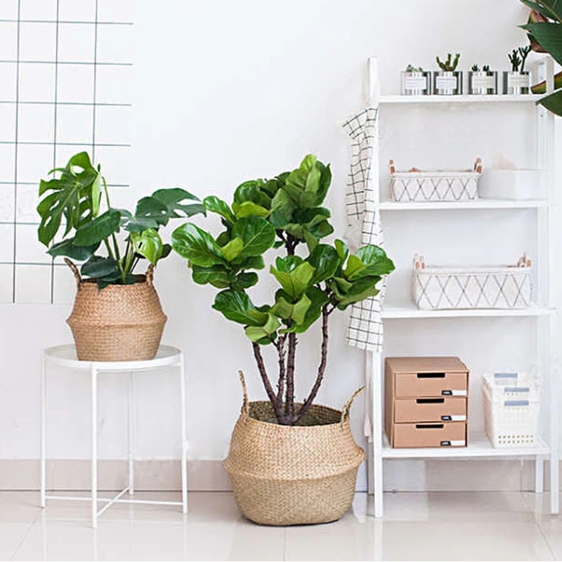 Wohnkultur Blumentopf stehen oval hängenden Seegras Aufbewahrungskorb