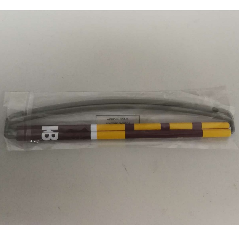Benutzerdefinierte Logo Handheld Roller Banner- Redskins 24x68CM