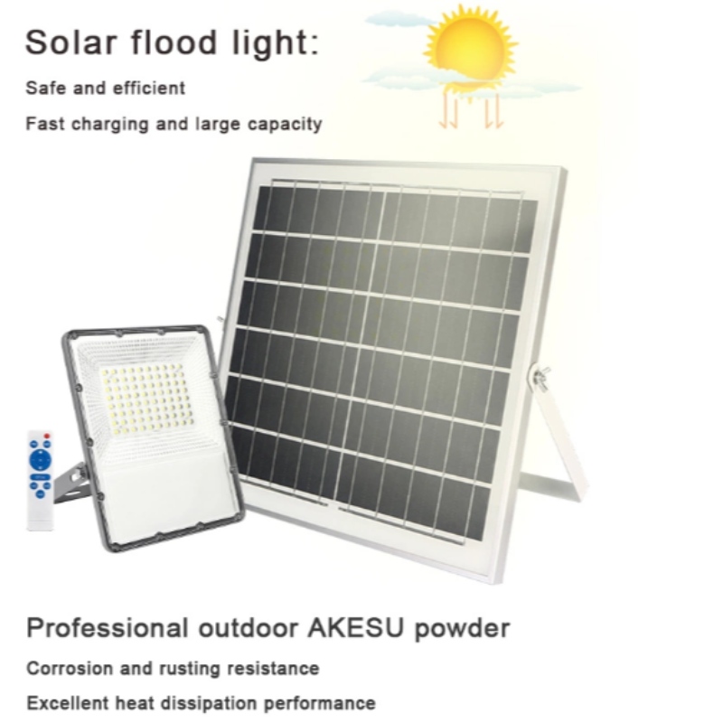 IP65 20W 30W 50W 100W 200W Led Solar Flood Light mit remove controller