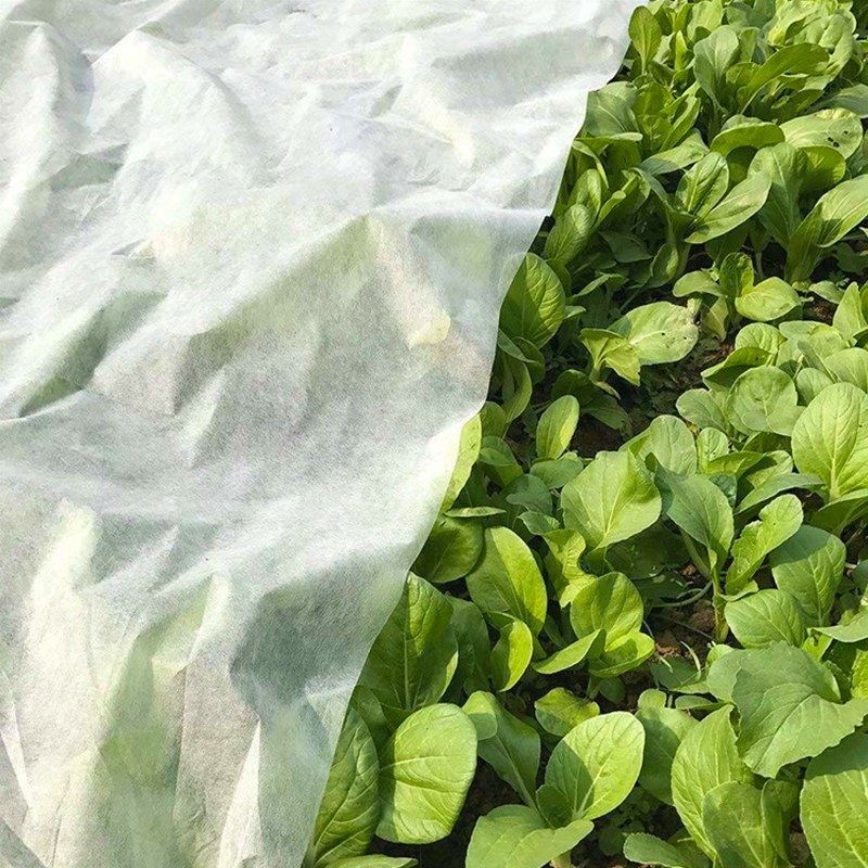 PP Vlies Landwirtschaft Abdeckung Geotextil Pflanzen wachsen Taschen Stoff für Gartenprodukte