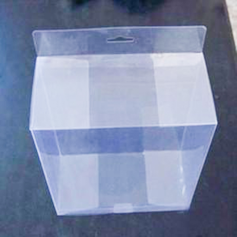 PETG transparente Plastikbox