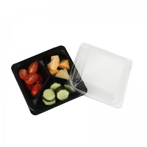 Lunch Box 520A3
