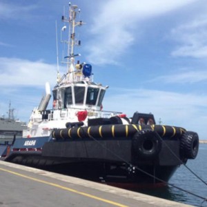 Dauerhafte Hafenanlagen mit SchleppbootFendern