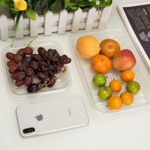 Hohe Transparenz umweltfreundliche Einweg-Kunststoff-Obstbehälter aus Kunststoff