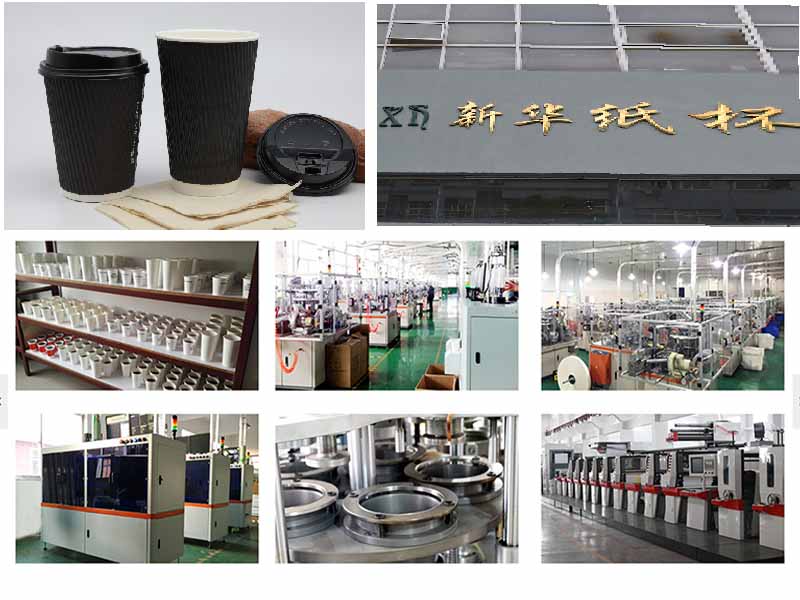 xinhua paper cup factory