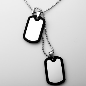 Großhandel Edelstahl Doppel Silikon Hundemarke Anhänger Halskette