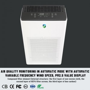 Dual Purifier (aktive Reinigung + passive Reinigung)