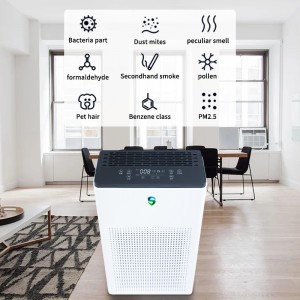 Dual Purifier (aktive Reinigung + passive Reinigung)