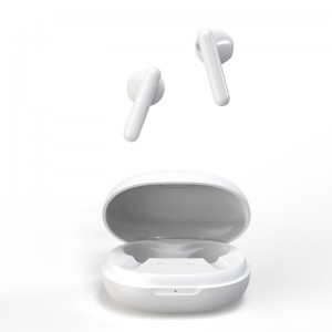 Hochwertige Ohrhörer TWS 5.0 Wireless Earbuds In-Ear mit Mikrofon Sport TWS Earbuds