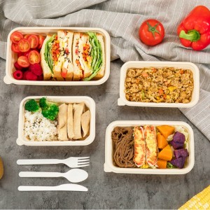 Quadratische Form umweltfreundliche kompostierbare Einweg-Lebensmittelvorratsbehälter zum Mitnehmen biologisch abbaubare Lebensmittelstärke für Maisstärke