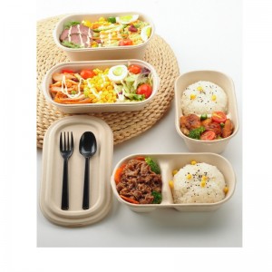 Ovale Fast-Food-Boxen zum Mitnehmen, biologisch abbaubare Bagasse-Lebensmittelverpackungsbehälter mit klarem Deckel
