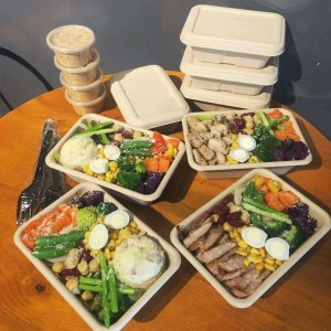 Rechteckige umweltfreundliche biologisch abbaubare Lebensmittelverpackungsbehälter zum Mitnehmen Maisstärke Einweg-Lebensmittelbehälter