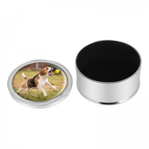 Metallurne für Hundeasche