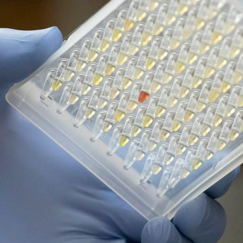 Forscher, die sich auf die Verbreitung von Oregon Covid-19-Varianten ansehen