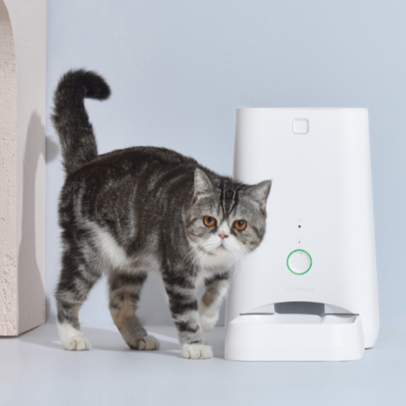 6L APP Pet Feeder