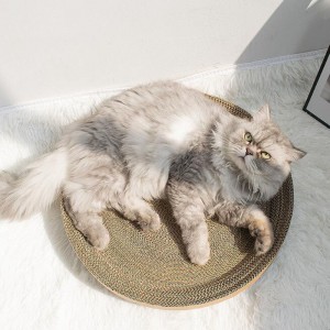 Cherry Cat greift Schüssel