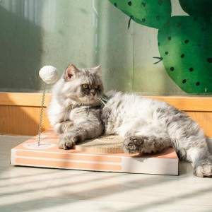 Cat Scratch Board Anzug