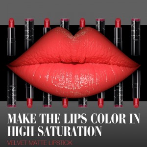 Langlebiger privater Label-Lippenstift