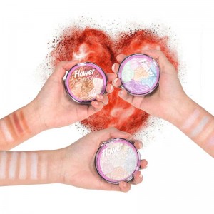 Highlighter Pulver Makeup Private Label